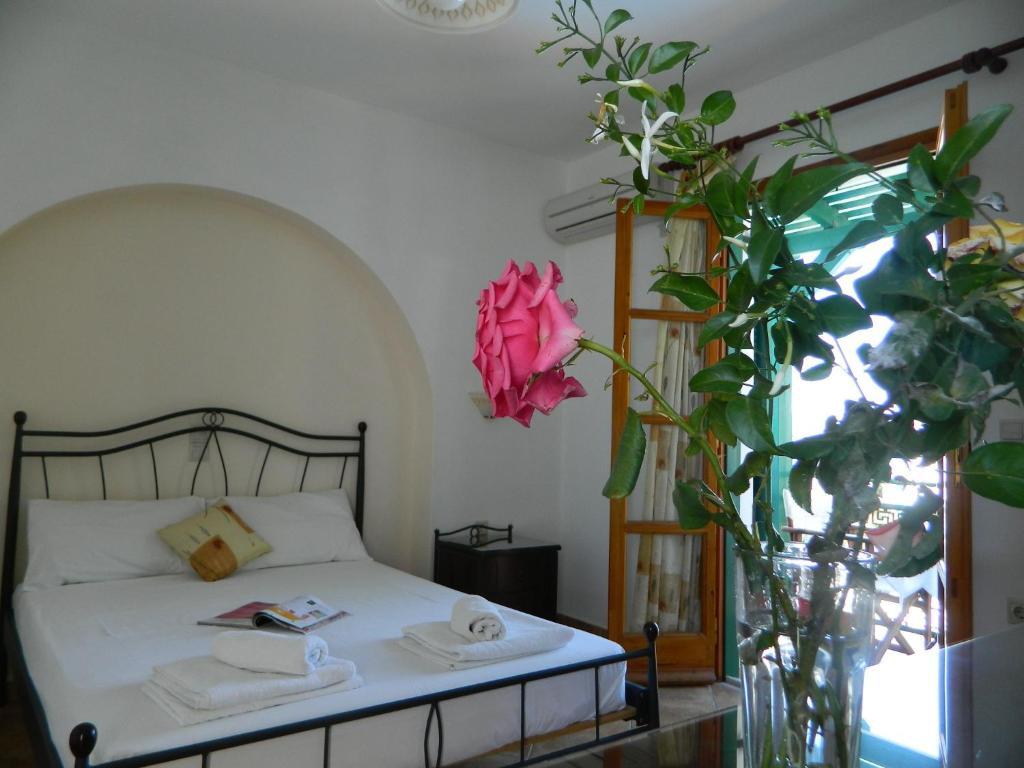 Ioanna Apartments Агиос-Прокопиос Номер фото